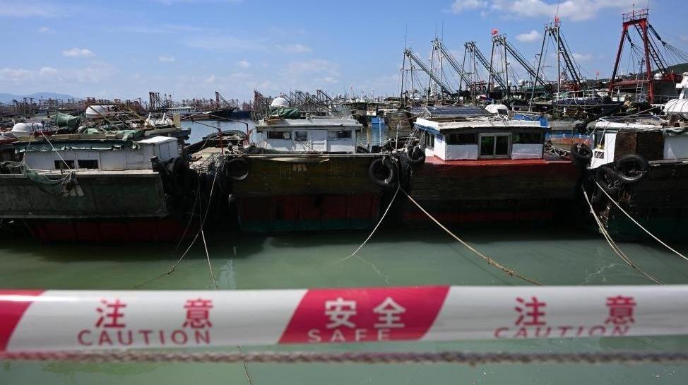 成全视频在线观看大全