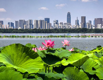 上甘岭开播