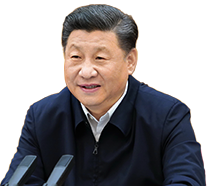 五月天婷婷精品视频