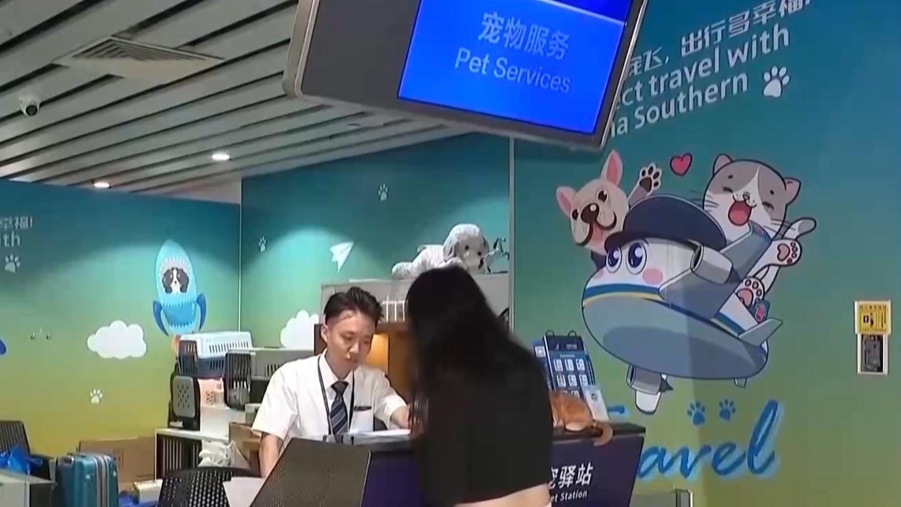 朴灿烈模仿向佐摸鼻梁动作