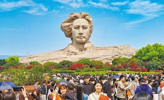小直屏颜值党天菜