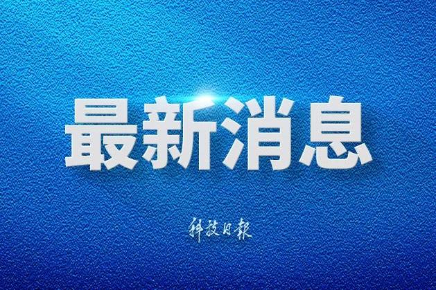 国产短剧已经疯了