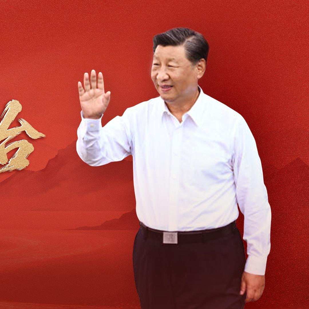 张本智和模仿樊振东模仿姆巴佩