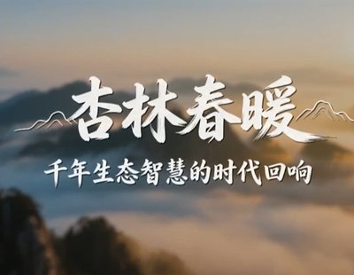 杨紫李现国色芳华开始招商