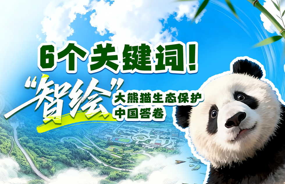 韩国防部回应朝鲜警告